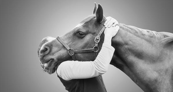 gb equine therapy